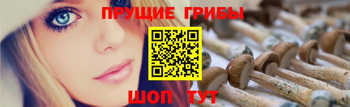 Галлюциногенные грибы MAGIC MUSHROOMS  Псилоцибиновые грибы прущие грибы  Уварово  Вход с VPN 